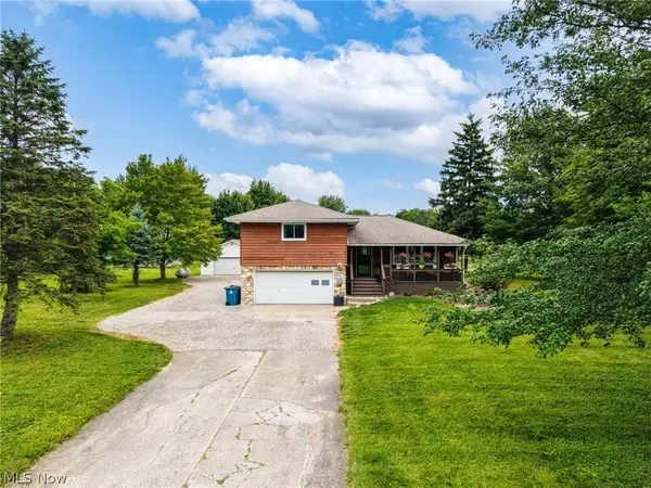 51890 Betts Road, Wellington, OH 44090