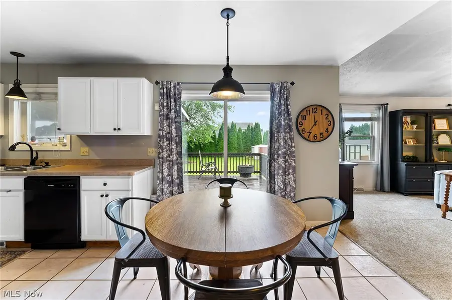 10460 Carrie Drive, New Middletown, OH 44442 - #3