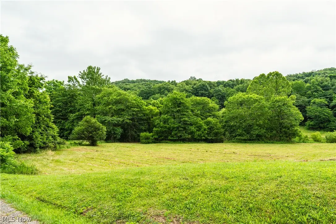 Long Road, Chandlersville, OH 43727 - #1