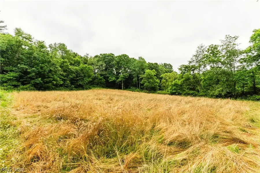 Long Road, Chandlersville, OH 43727 - #3