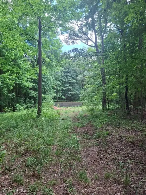 10381 Mulberry Road, Chardon, OH 44024