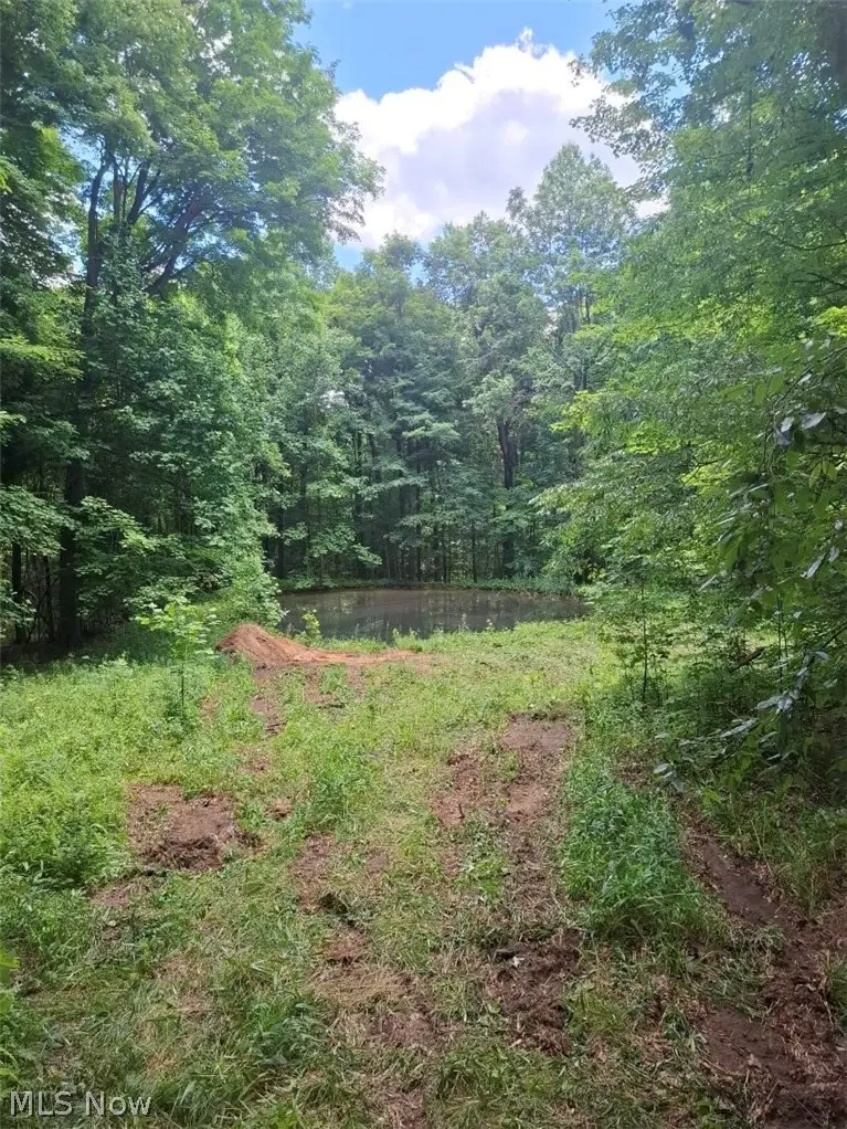 10381 Mulberry Road, Chardon, OH 44024 - #3