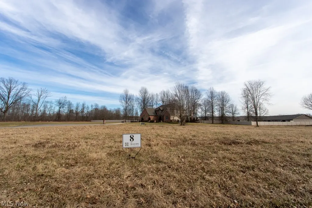 Black Duck Court, Cortland, OH 44410 - #1