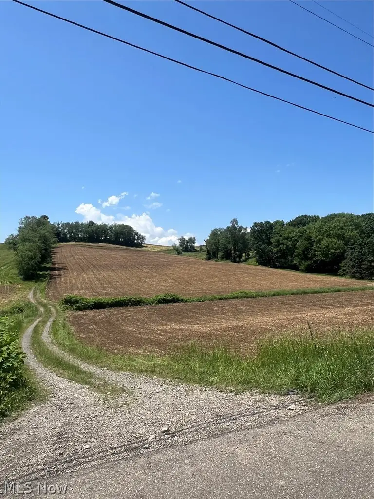 Blacksnake Hill Road, Dover, OH 44622 - #3