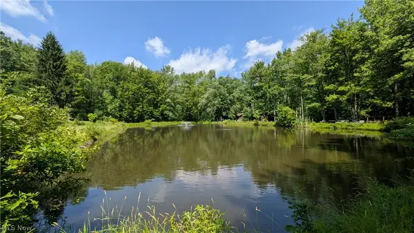 4370 Murphy Road, Thompson, OH 44086