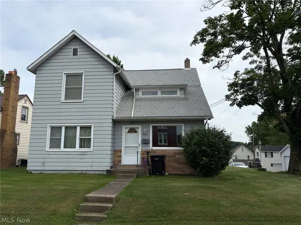 299 W Martin Street, East Palestine, OH 44413
