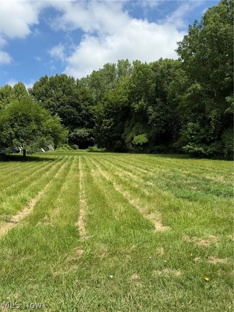VL Madison Avenue, Painesville, OH 44077 - #1
