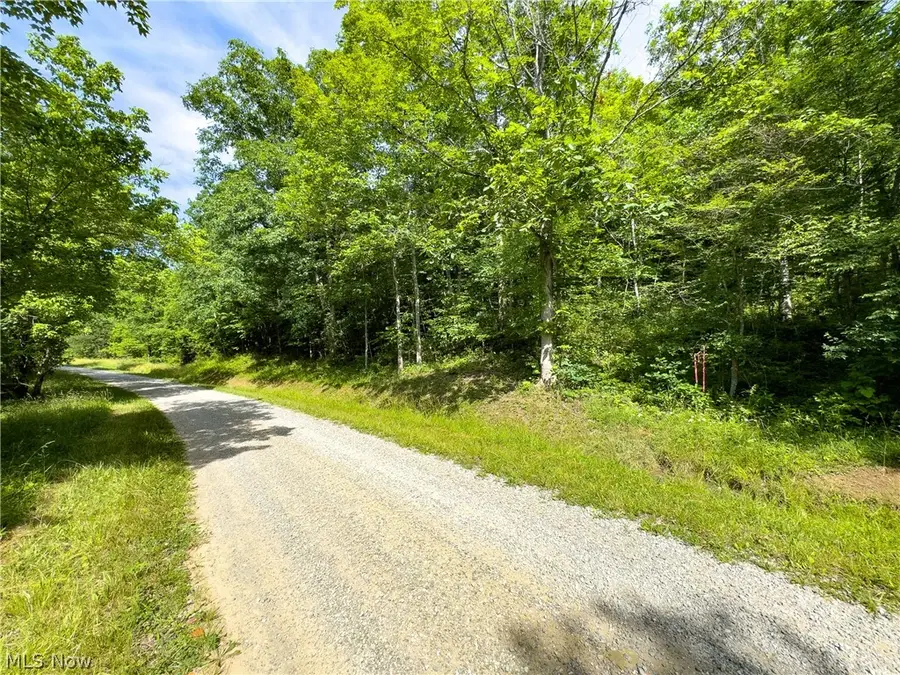 0 Jake Road, Patriot, OH 45658 - #2