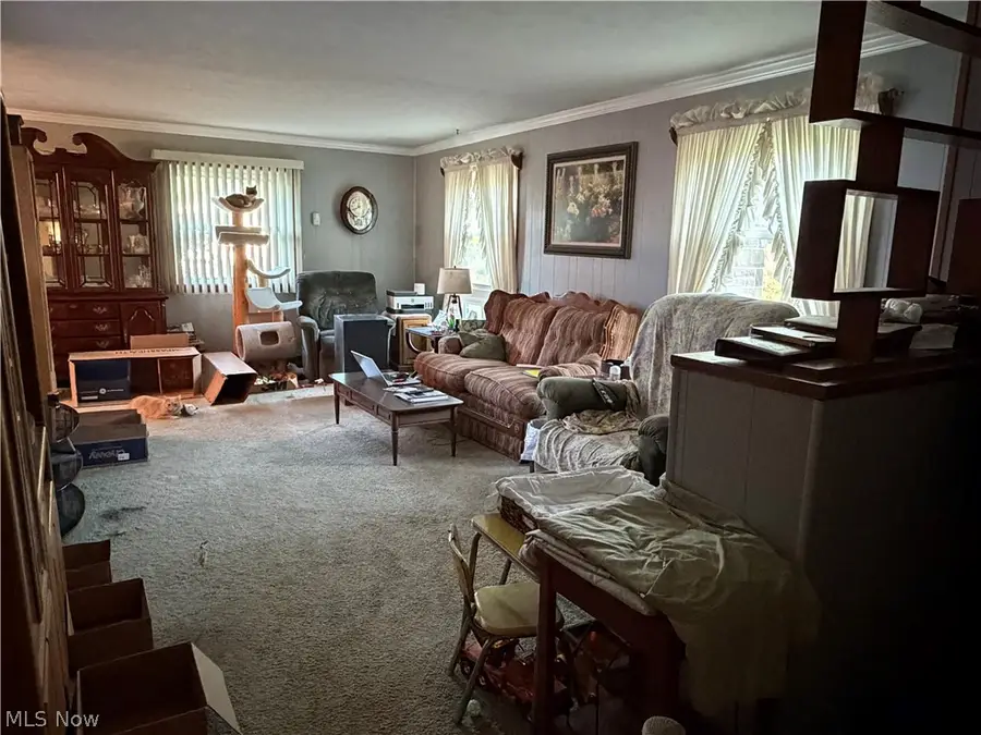 7219 Wilson Sharpsville Road, Hartford, OH 44404 - #3
