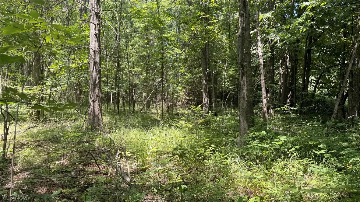 3359 Helsey Fusselman Road, Southington, OH 44470 - #1