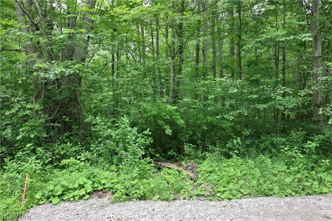2807 Morningside Avenue, Saybrook On The Lake, OH 44004 - #1