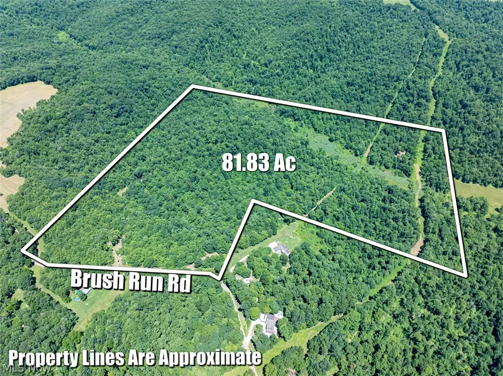 6985 Brush Run Road, Cambridge, OH 43725 - #1