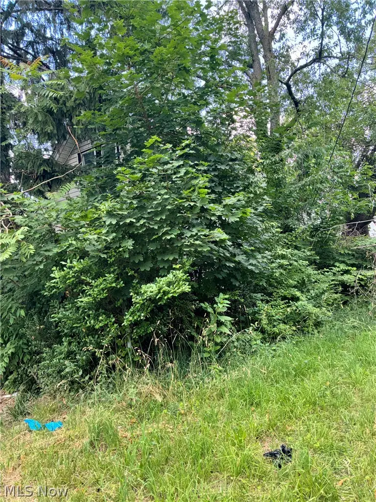 1398 E 91st Street, Cleveland, OH 44106 - #3