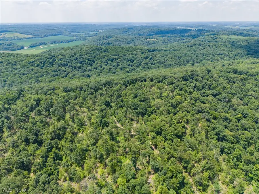 31800 Chestnut Ridge Road, Union, OH 43050 - #3