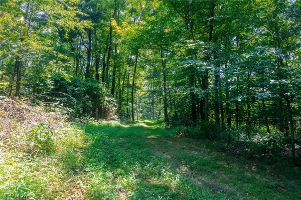 31800 Chestnut Ridge Road #1, Danville, OH 43050