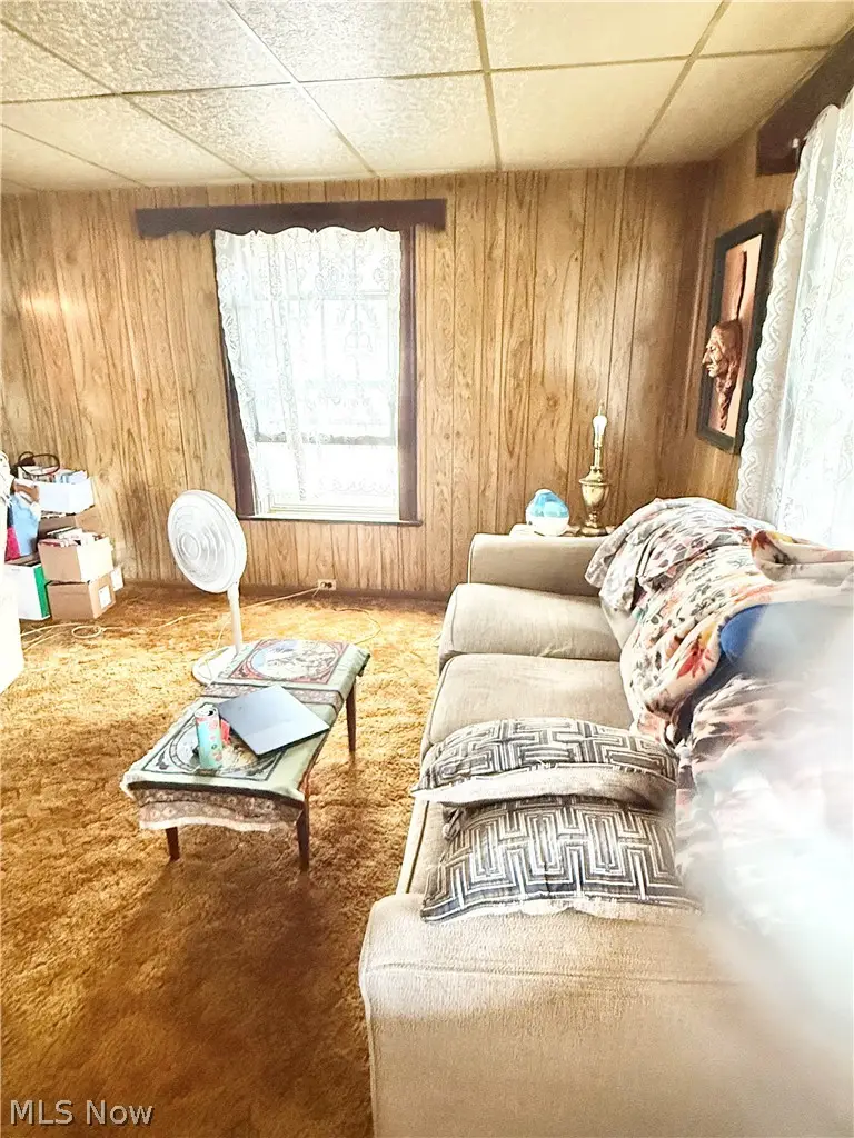 920 E 15th Street, Ashtabula, OH 44004 - #2
