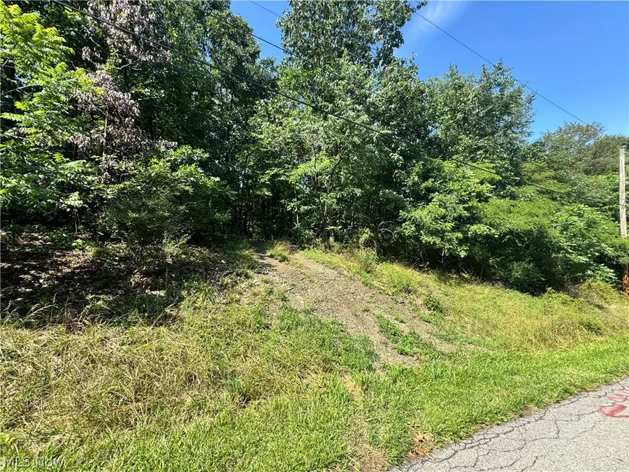 47308 Chippewa Trail, Negley, OH 44441 - #2
