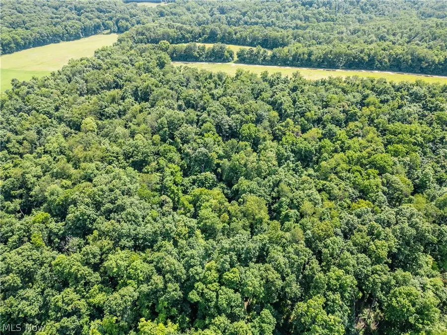 Lot 3 Township Rd 51, Somerset, OH 43783 - #2