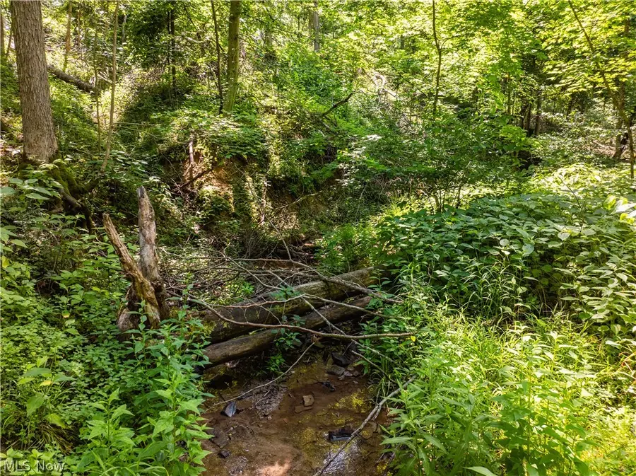 Lot 3 Township Rd 51, Somerset, OH 43783 - #3
