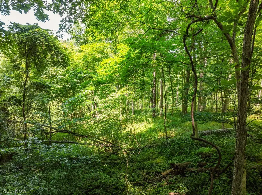 Lot 6 Township Rd 51, Somerset, OH 43783 - #2