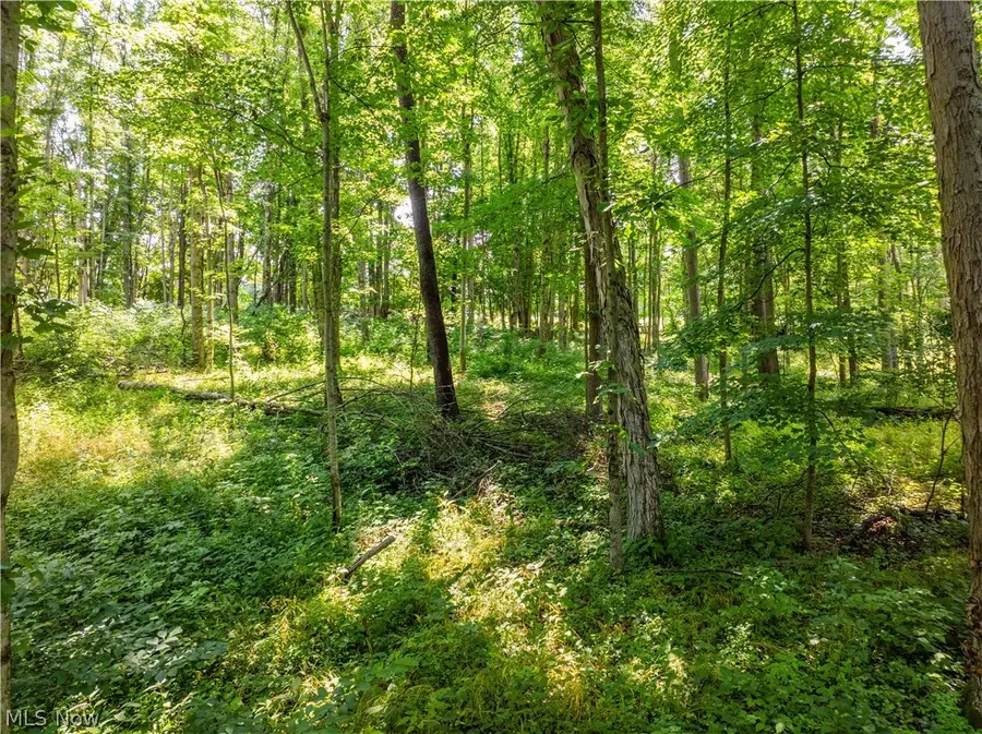 Lot 6 Township Rd 51, Somerset, OH 43783 - #3