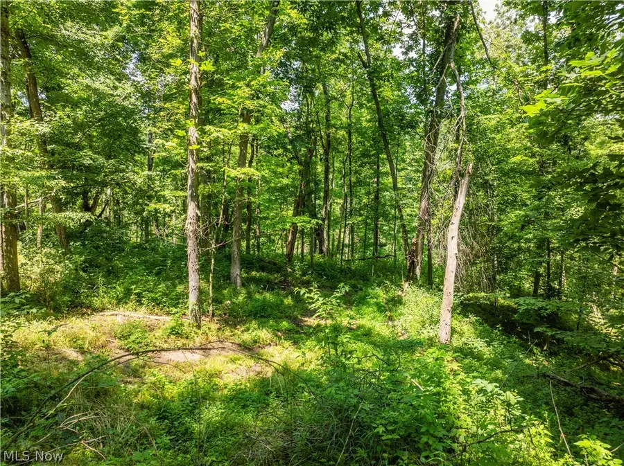 Lot 9 Township Rd 51, Somerset, OH 43783 - #3