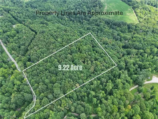 260 Ocelot Ne Road, Salineville, OH 43945