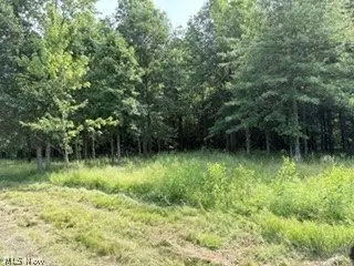 State Route 14, Deerfield, OH 44411