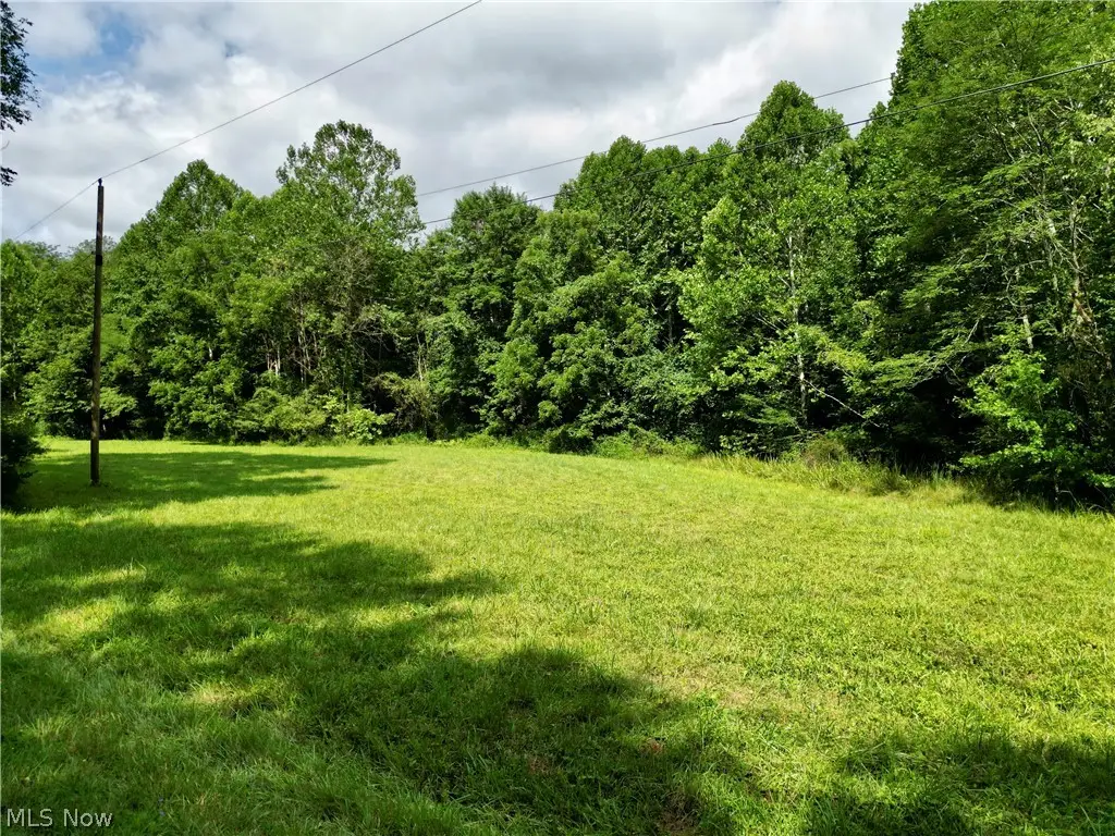Homestead Drive, New Concord, OH 43762 - #1