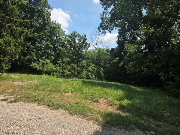 601 Orme Avenue, Cambridge, OH 43725