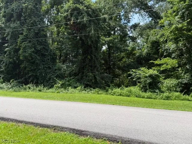 0 Chestnut Drive, Bellaire, OH 43906 - #2
