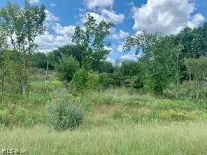 Akron Road, Doylestown, OH 44230 - #3