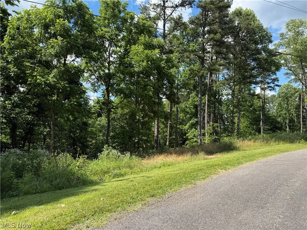 0 Fisher Ridge Rd, Tract 1 Road, Fleming, OH 45729 - #1