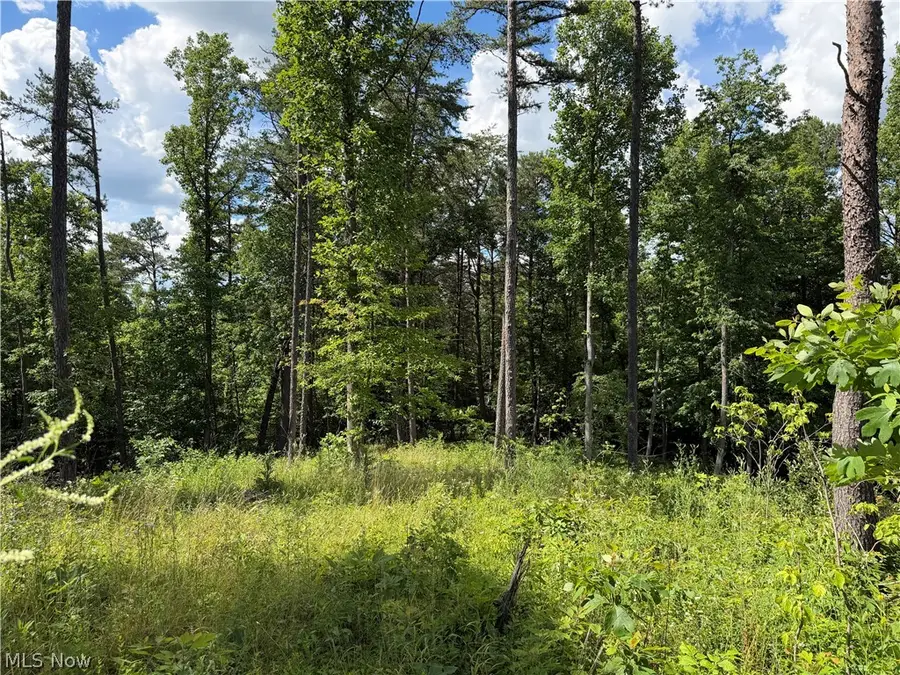 0 Fisher Ridge Rd, Tract 1 Road, Fleming, OH 45729 - #2