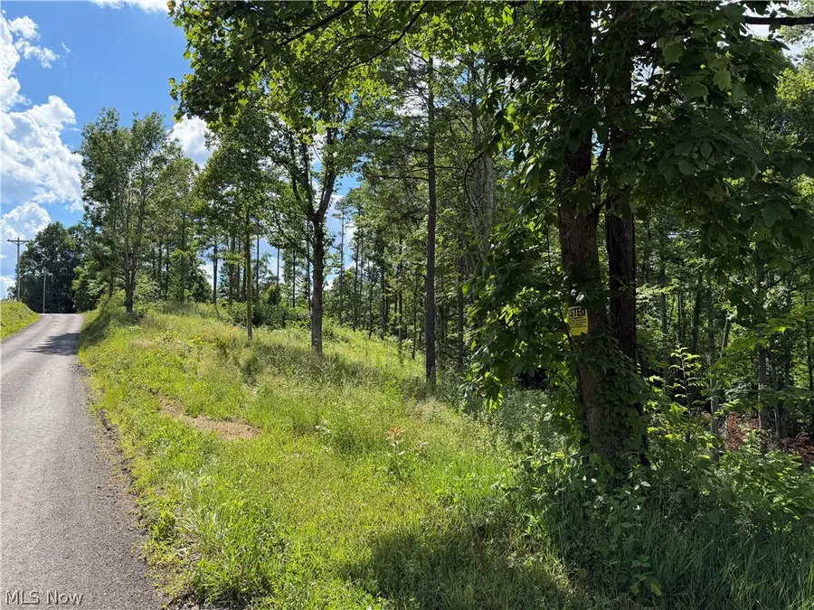 0 Fisher Ridge Rd, Tract 1 Road, Fleming, OH 45729 - #3