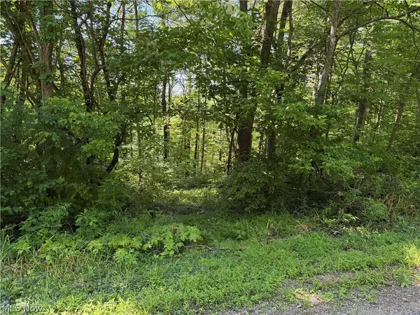0 Fisher Ridge Rd, Tract 6 Road, Fleming, OH 45729