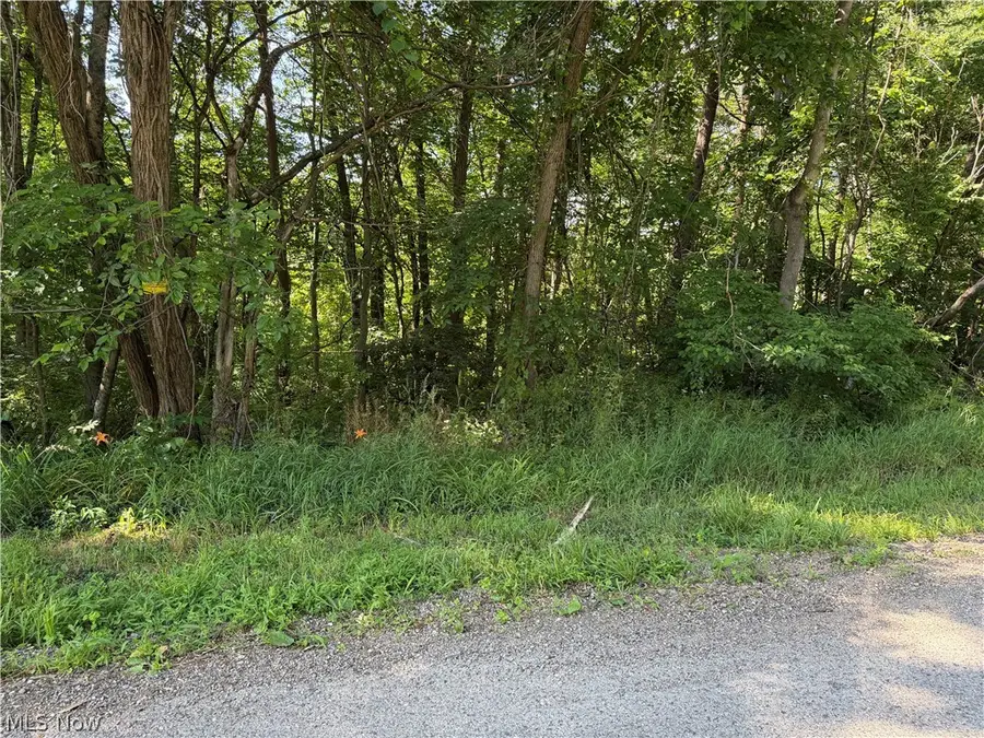 0 Fisher Ridge Rd, Tract 6 Road, Fleming, OH 45729 - #2