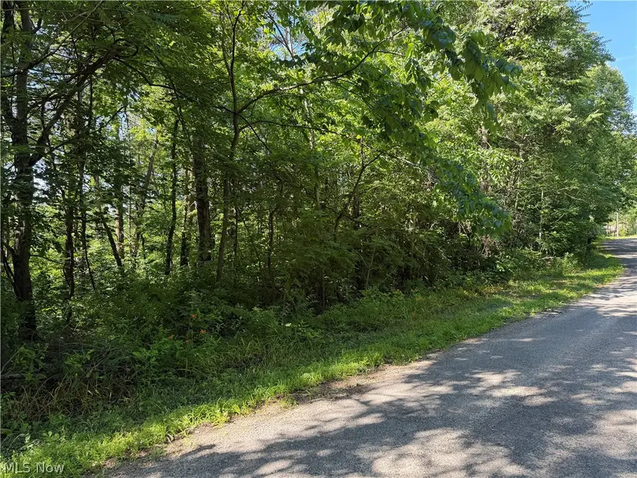 0 Fisher Ridge Rd, Tract 6 Road, Fleming, OH 45729 - #3