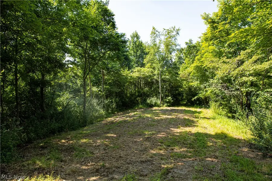 27339 Tabor Ridge Road, Caldwell, OH 43724 - #3