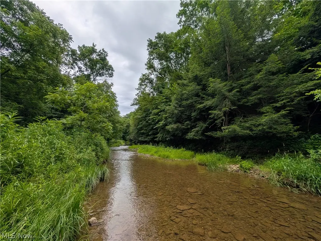 County Road 36, Bloomingdale, OH 43910 - #1