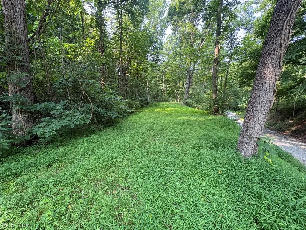 0 Twp Road 369, Clarington, OH 43915 - #1