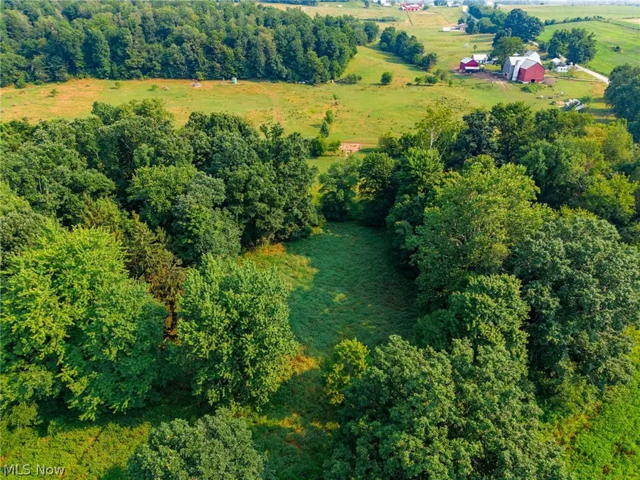 Stone Ave, Navarre, OH 44662 - #3