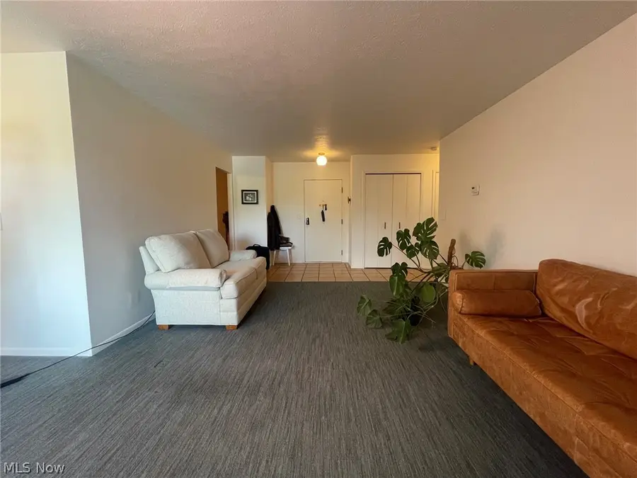 2112 Acacia Park Drive #323, Lyndhurst, OH 44124 - #3