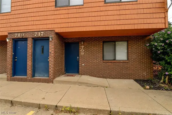 709 & 717 Carroll Street, Akron, OH 44304