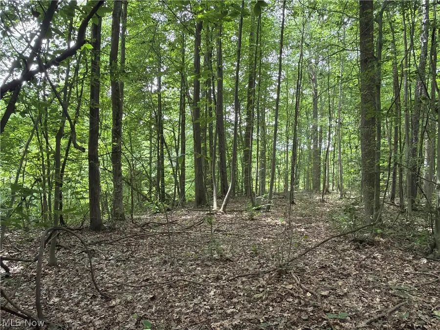 Crosby Cook Road, Rome, OH 44085 - #3