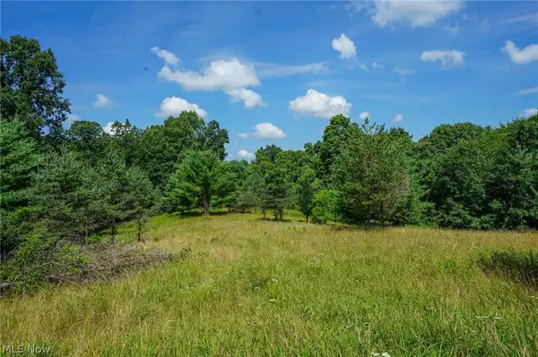 235 Butterbean Ridge Rd, Philo, OH 43771