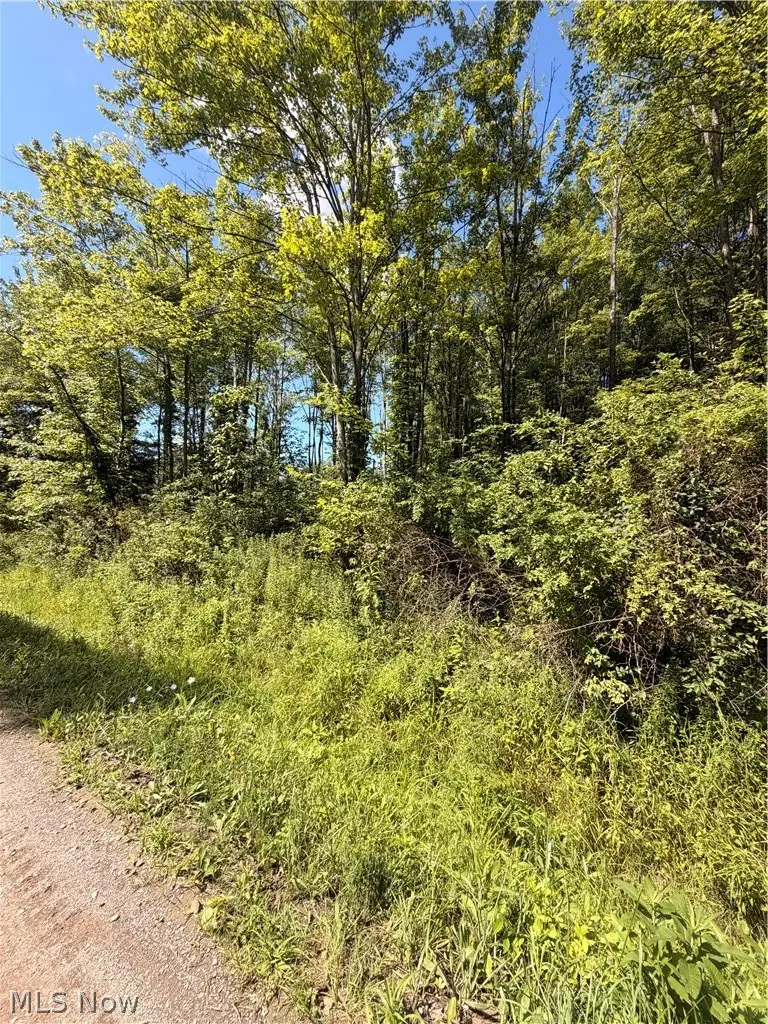 Forman Road, Rock Creek, OH 44084 - #2