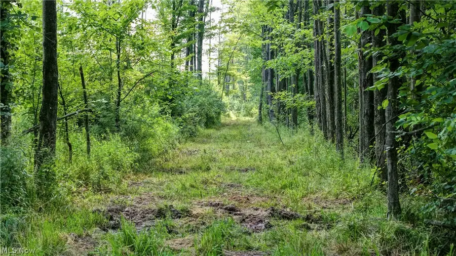 0 Bushnell Campbell, Kinsman, OH 44428 - #2