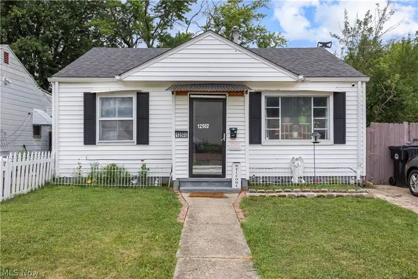 12502 Leeila Avenue, Cleveland, OH 44135