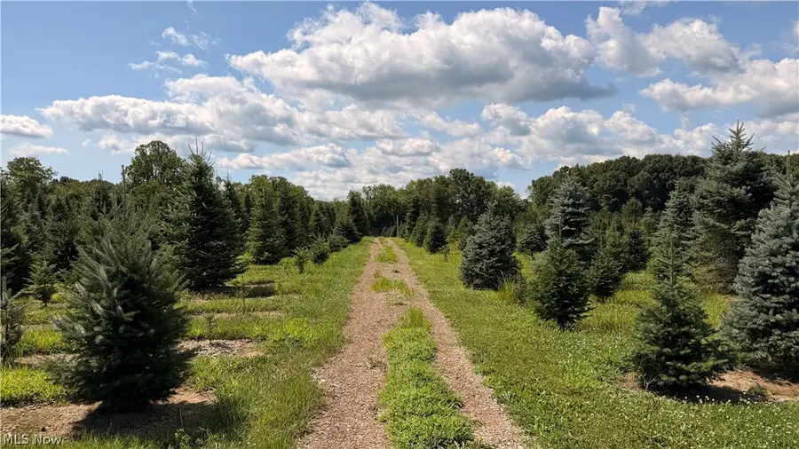5620 Streeter Road, Mantua, OH 44255 - #3